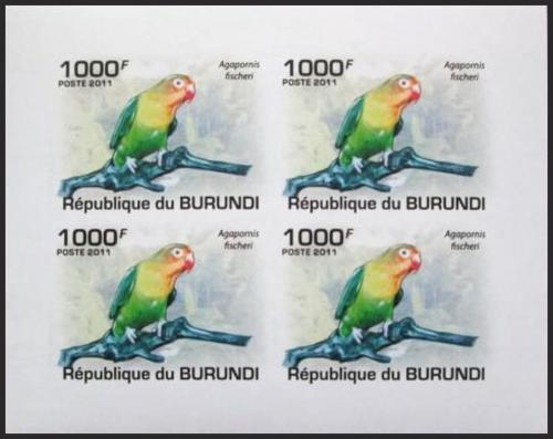 Potovn znmky Burundi 2011 Papouk Fischerv neperf. Mi# 1974 B Bogen