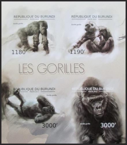 Potovn znmky Burundi 2012 Gorila zpadn neperf. Mi# 2848-51 B Bogen