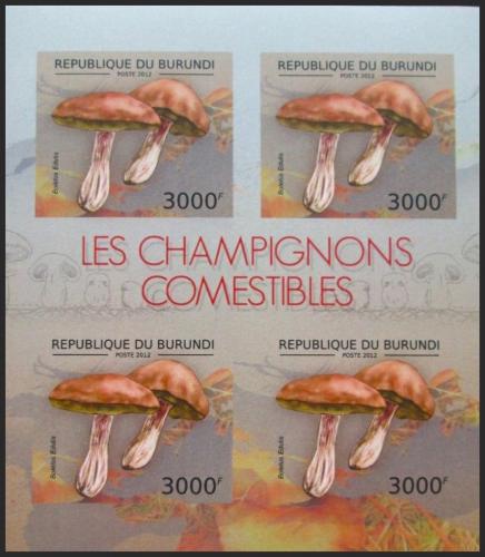 Potovn znmky Burundi 2012 Hib smrkov neperf. Mi# 2741 B Bogen