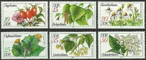 Poštovní známky DDR 1978 Léèivé rostliny Mi# 2287-92