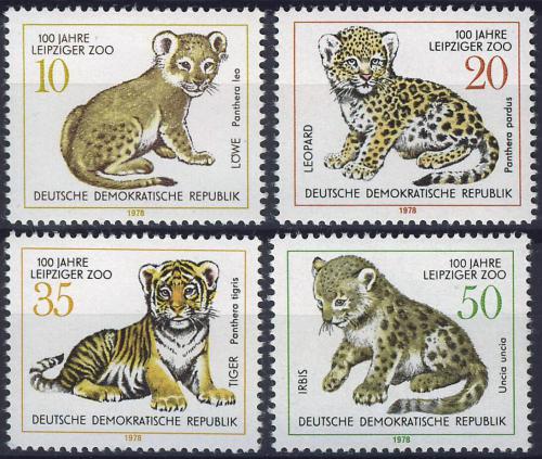 Poštovní známky DDR 1978 Mláïata koèkovitých šelem Mi# 2322-25