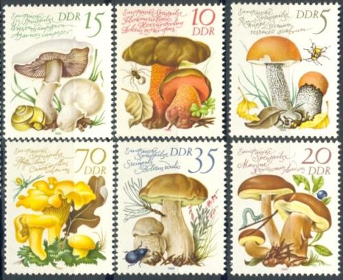 Poštovní známky DDR 1980 Jedlé houby Mi# 2551-56 