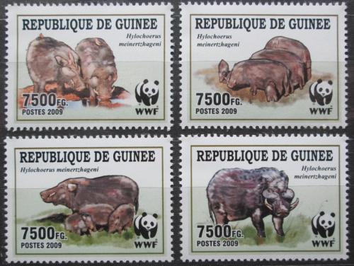 Poštovní známky Guinea 2009 Prase pralesní, WWF Mi# 6714-17 Kat 10€