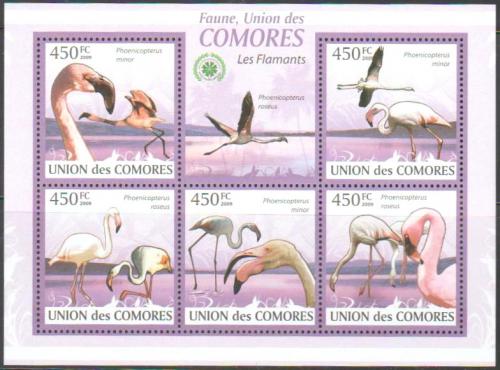 Poštovní známky Komory 2009 Plameòáci Mi# 2402-06 Kat 10€ 