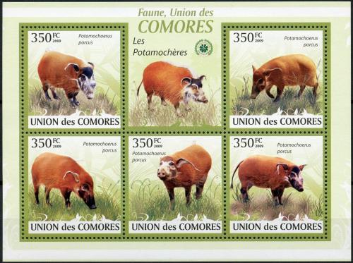 Poštovní známky Komory 2009 Štìtkoun africký Mi# 2430-34 Kat 9€