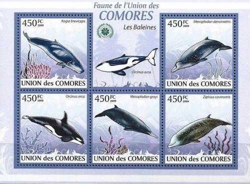 Poštovní známky Komory 2009 Velryby Mi# 2450-54 Kat 10€ 