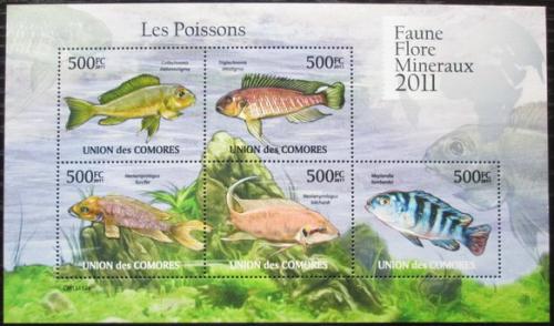 Potovn znmky Komory 2011 Sladkovodn ryby Mi# 3001-05 Bogen Kat 12 - zvtit obrzek