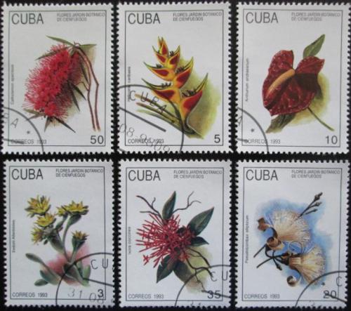 Potovn znmky Kuba 1993 Kvtiny Mi# 3693-98