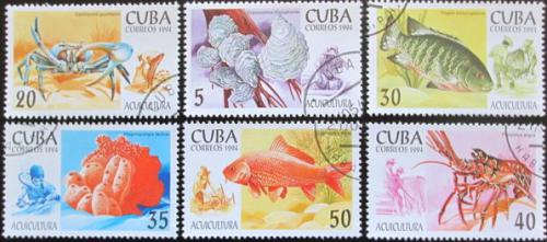 Potovn znmky Kuba 1994 Vodn fauna Mi# 3749-54
