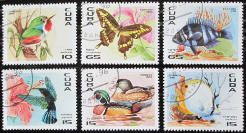Potovn znmky Kuba 1996 Fauna Karibiku Mi# 3926-31