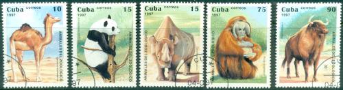 Potovn znmky Kuba 1997 Zvata ze ZOO Mi# 3996-4000