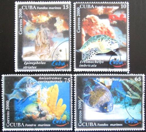Potovn znmky Kuba 2000 Mosk fauna Mi# 4314-17