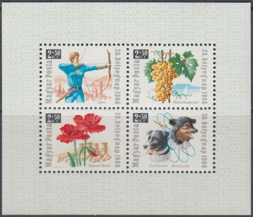 Poštovní známky Maïarsko 1966 Den známek Mi# Block 55