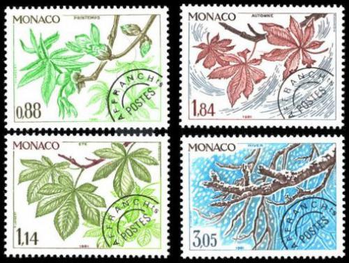 Poštovní známky Monako 1981 Jírovec maïal, ètyøi roèní období Mi# 1460-63