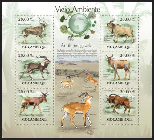 Poštovní známky Mosambik 2010 Antilopy a gazely Mi# 3554-59