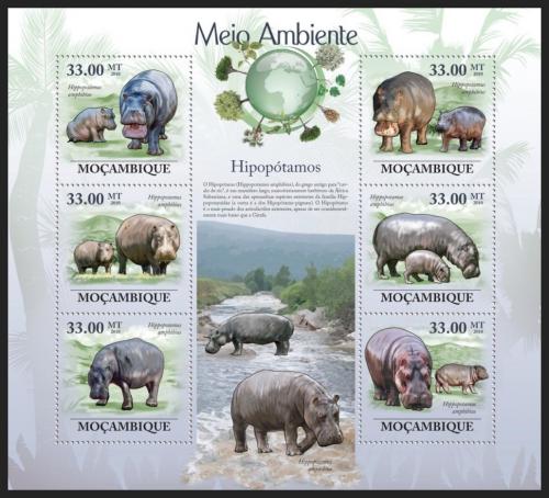 Poštovní známky Mosambik 2010 Hroši Mi# 3596-3601