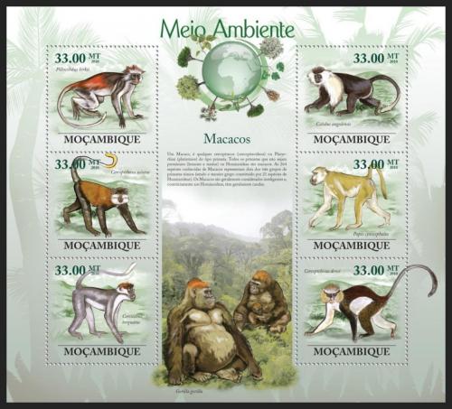 Poštovní známky Mosambik 2010 Opice Mi# 3620-25