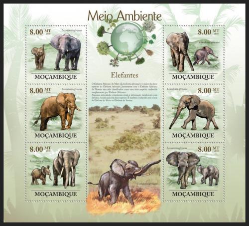Poštovní známky Mosambik 2010 Sloni Mi# 3542-47