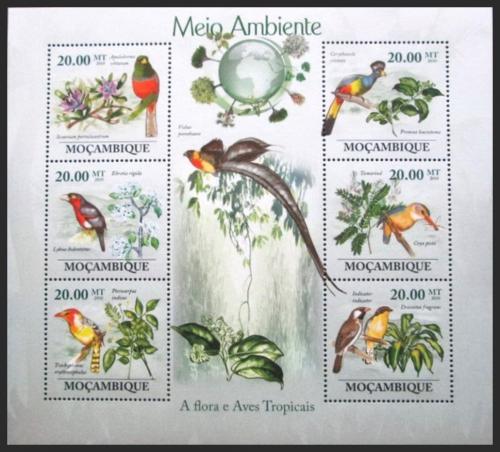 Poštovní známky Mosambik 2010 Tropiètí ptáci Mi# 3489-94