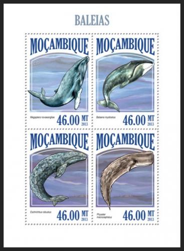 Poštovní známky Mosambik 2013 Velryby Mi# 6827-30 Kat 11€