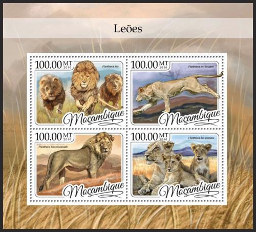 Poštovní známky Mosambik 2016 Lvi Mi# 8769-72 Kat 22€