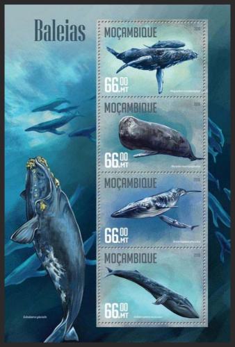 Poštovní známky Mosambik 2016 Velryby Mi# 8454-57 Kat 15€