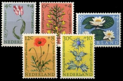 Poštovní známky Nizozemí 1960 Kvìtiny Mi# 746-50 Kat 15€