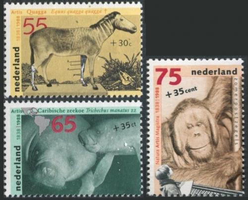 Poštovní známky Nizozemí 1988 Zvíøata v ZOO Mi# 1339-41