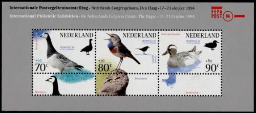 Poštovní známky Nizozemí 1994 Ptáci Mi# Block 41