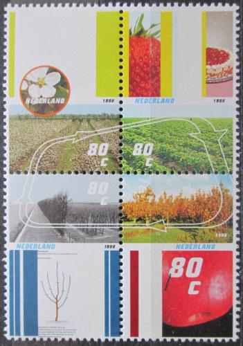 Poštovní známky Nizozemí 1998 Roèní období Mi# 1644-47
