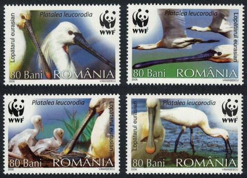 Poštovní známky Rumunsko 2006 Kolpík bílý, WWF Mi# 6134-37