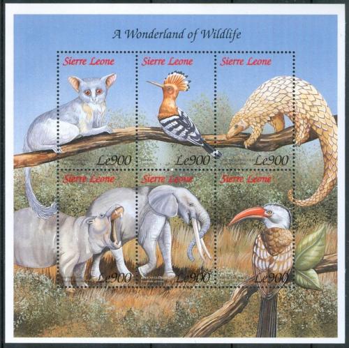 Poštovní známky Sierra Leone 1999 Africká fauna Mi# 3241-46 Kat 9€
