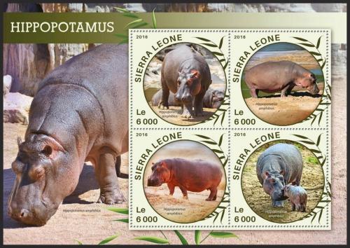 Poštovní známky Sierra Leone 2016 Hroši Mi# 6883-86 Kat 11€