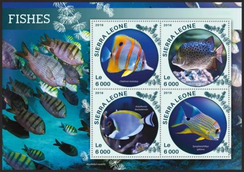 Poštovní známky Sierra Leone 2016 Ryby Mi# 6818-21 Kat 11€
