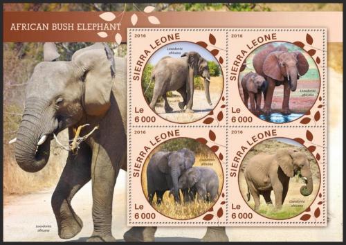 Poštovní známky Sierra Leone 2016 Sloni Mi# 6878-81 Kat 11€