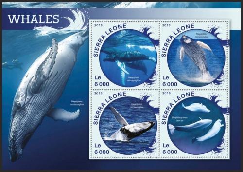 Poštovní známky Sierra Leone 2016 Velryby Mi# 6863-66 Kat 11€