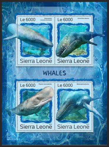 Poštovní známky Sierra Leone 2016 Velryby Mi# 7988-91 Kat 11€