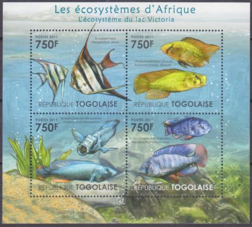 Poštovní známky Togo 2011 Ryby z Viktoriina jezera Mi# 4177-80 Kat 12€