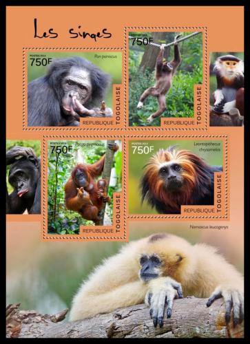 Potovn znmky Togo 2014 Opice Mi# 6166-69 Kat 12 - zvtit obrzek